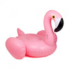 Flamingo Float OutLiving