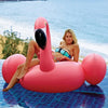 Flamingo Float OutLiving