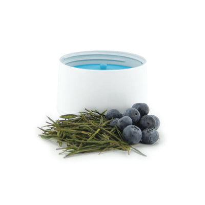 Fruit Infusing Water Bottle Thermor/fruition