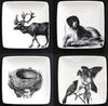 Natura Plates (Set of 4) Creative Coop