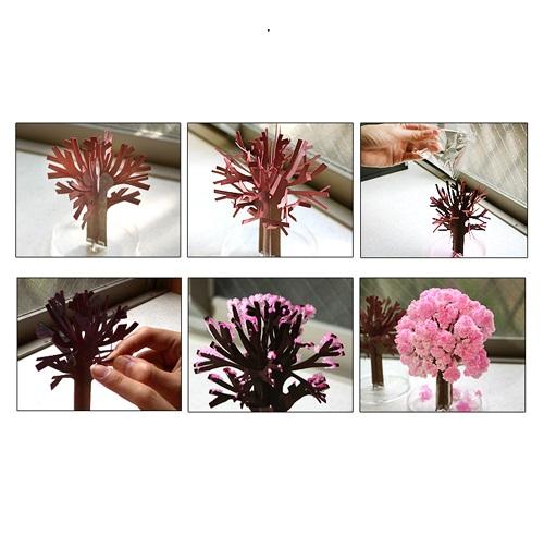 Magic Sakura Tree Give Simple